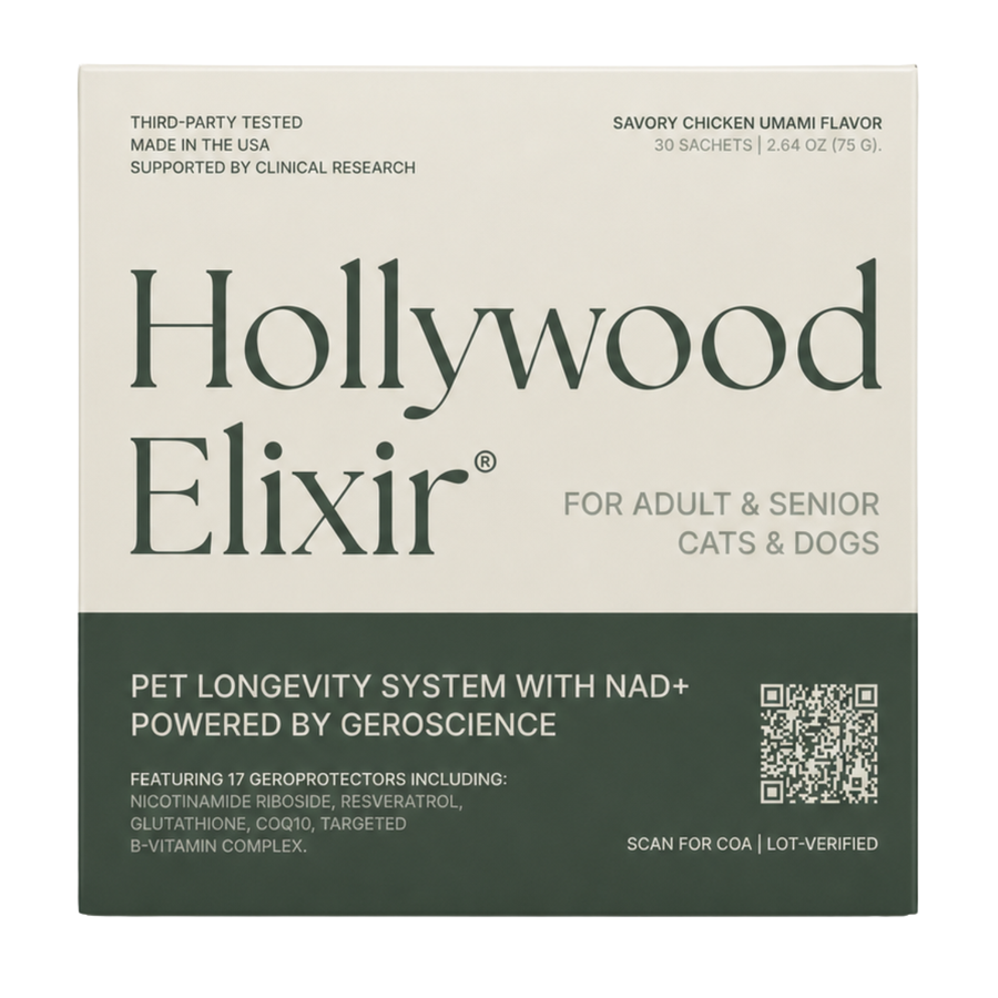 Hollywood Elixir sachet box