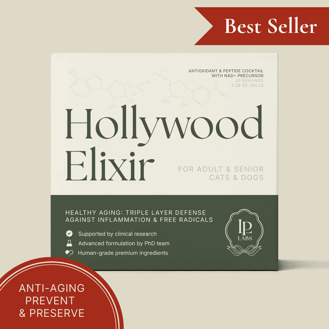 Hollywood Elixir™ — More Time, With Love
