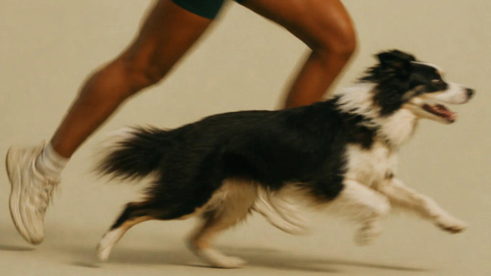 how much l carnitine should i give my dog Cutler Nutrition L Carnitine 3000 main image 1