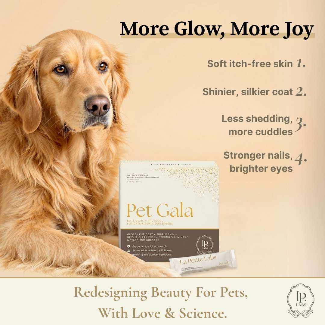 Pet Gala™ — Radiance for Cats & Dogs