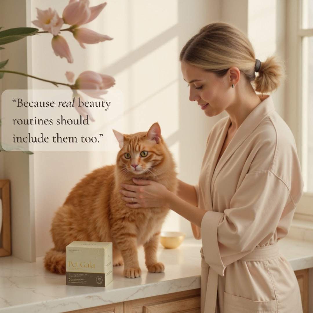 elegant woman with orange cat and pink flowers sunlight marble and pet gala beauty supplement