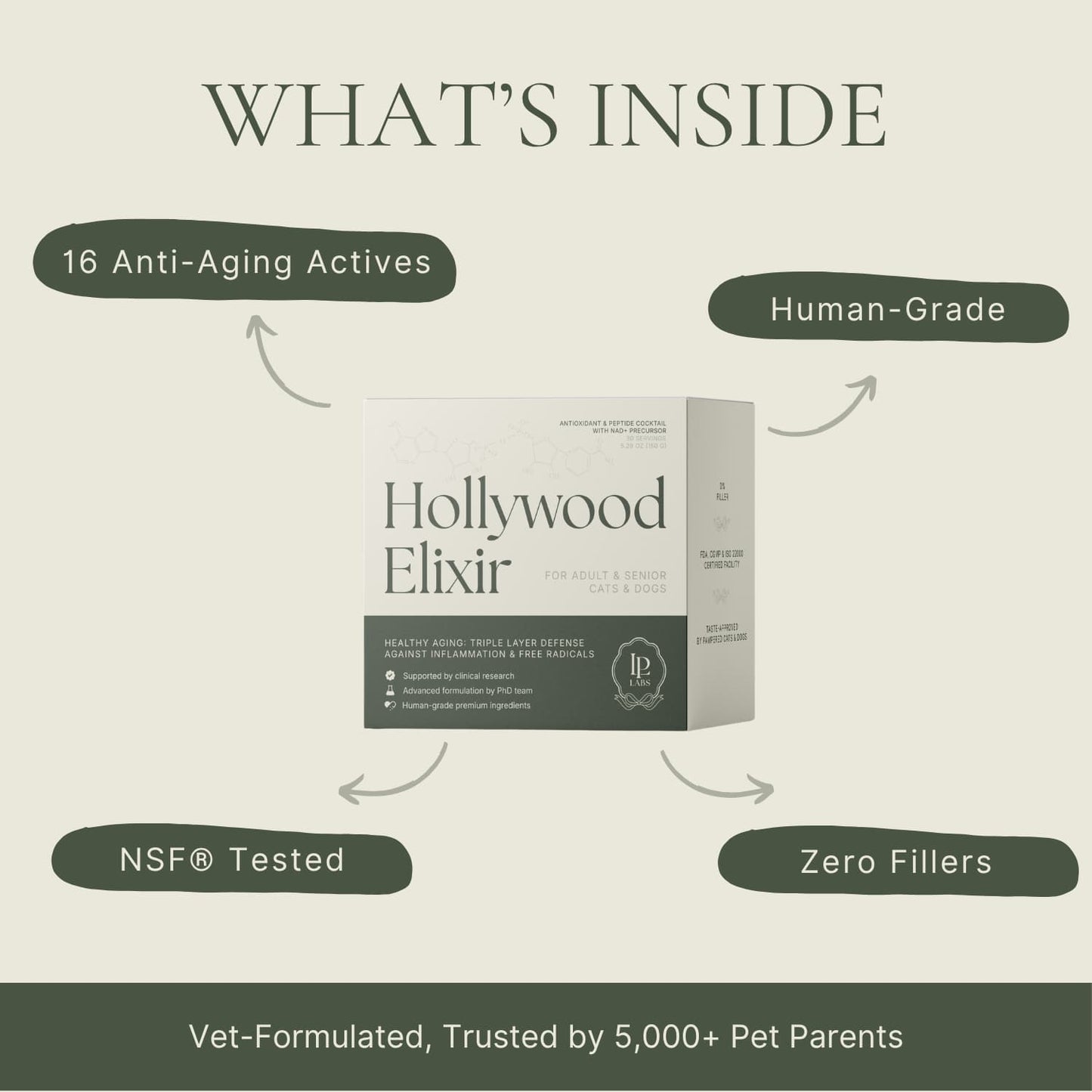 Hollywood Elixir™ Longevity Supplement — A Lifetime of Love
