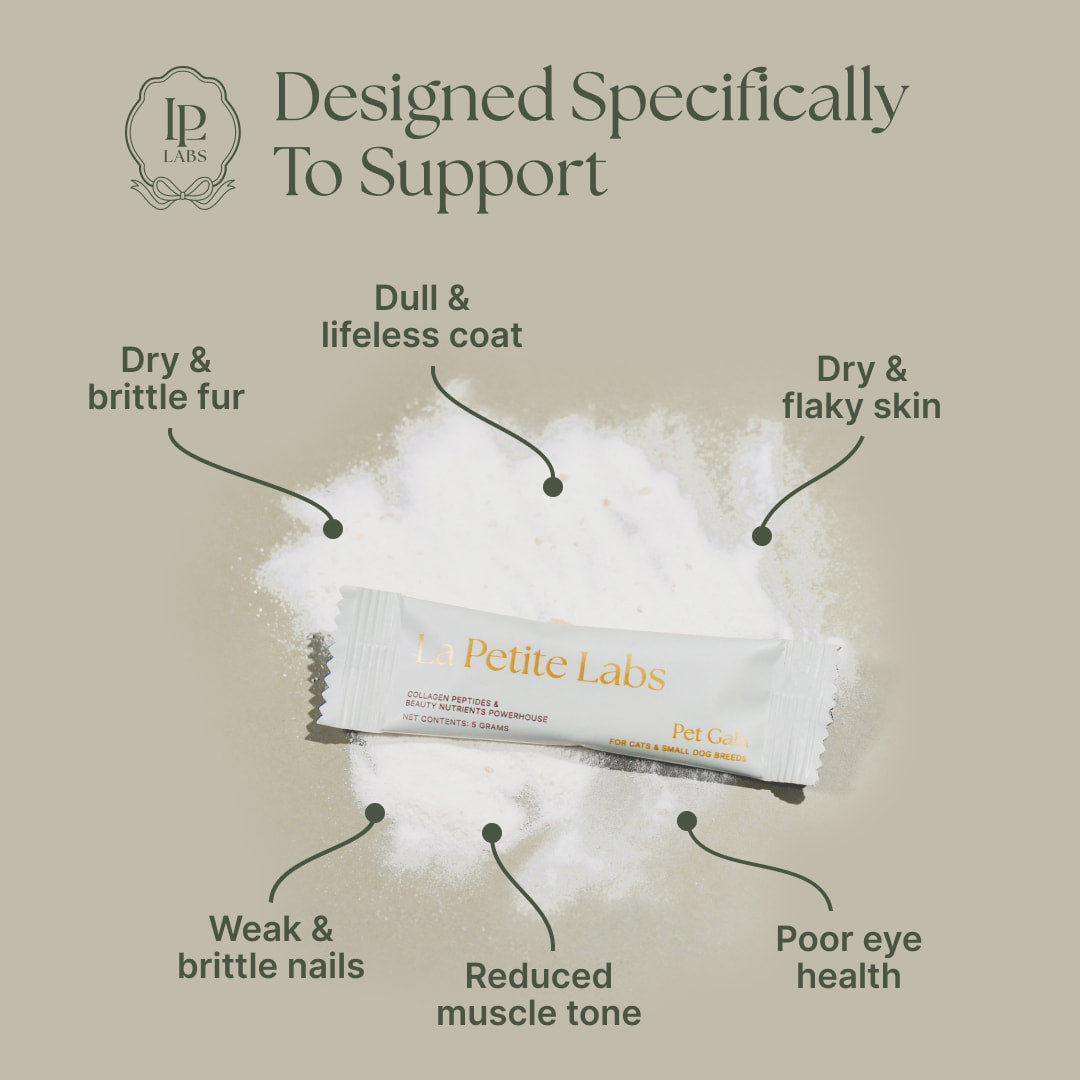 what pet gala is designed to support with sachet powder visible and text explainer overlay