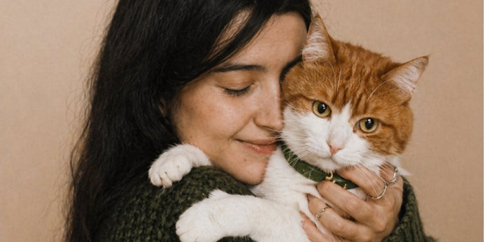 Anti-Aging Supplements for Cats: What Helps and Why