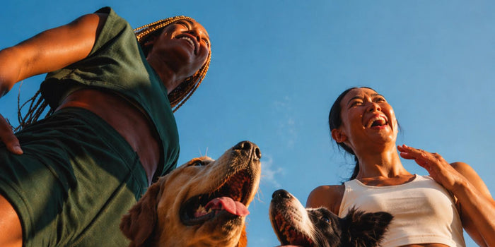 Spirulina for Dogs: Benefits, Dosage & Side Effects