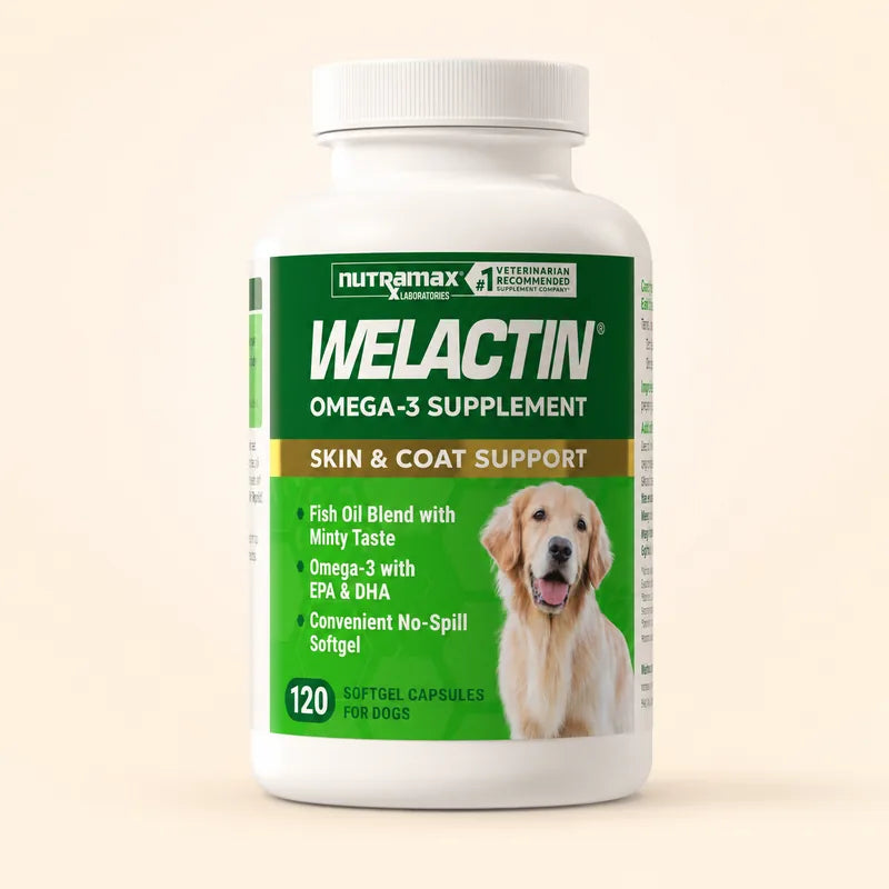 Welactin Advanced 3TA Omega-3 Liquid for Dogs