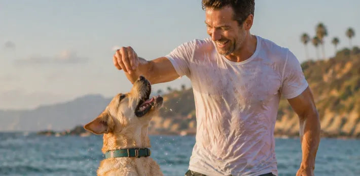 Curated ingredient scene highlighting bioactive blend supporting senior dog supplements explained.