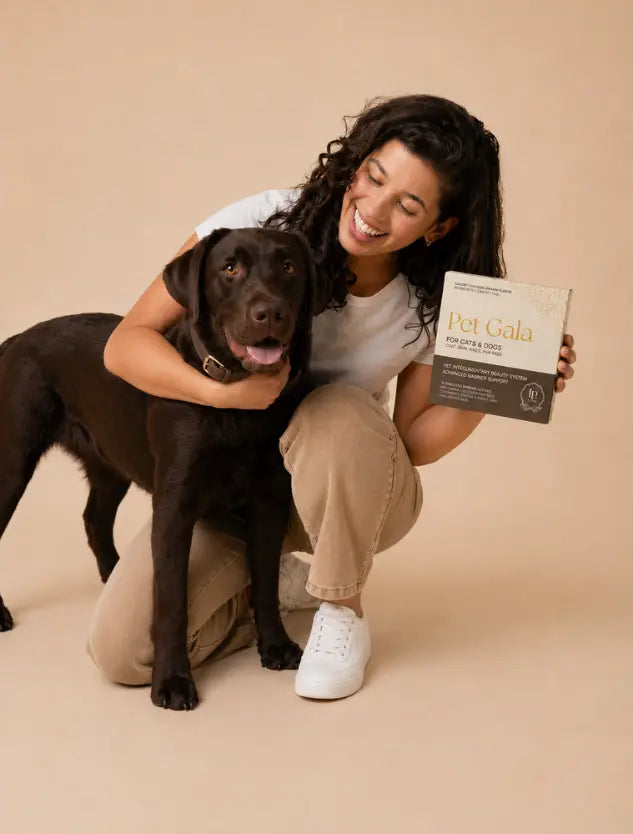 Canine Skin & Coat Framework: Barrier Biology Map