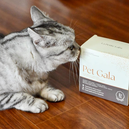 Pet Gala: Elite Beauty Protocol for Cats & Dogs