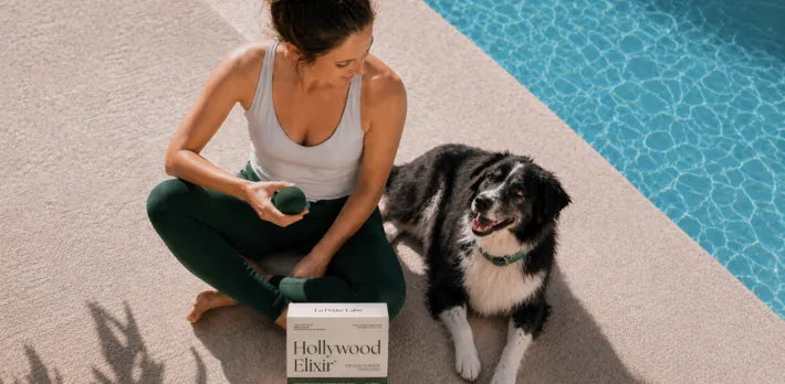 glutathione dog Endogenous Antioxidants for Dogs: Glutathione & SOD – La Petite Labs