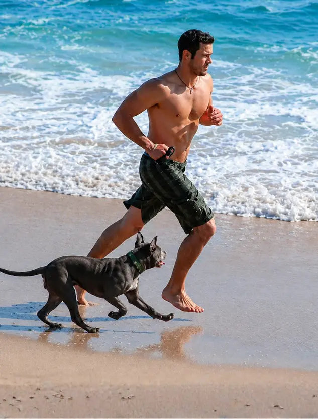The 12 Hallmarks of Aging in Dogs