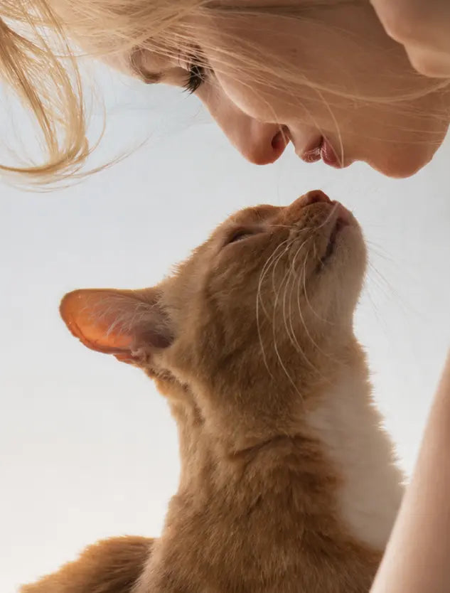 Cat Biological Age Calculator