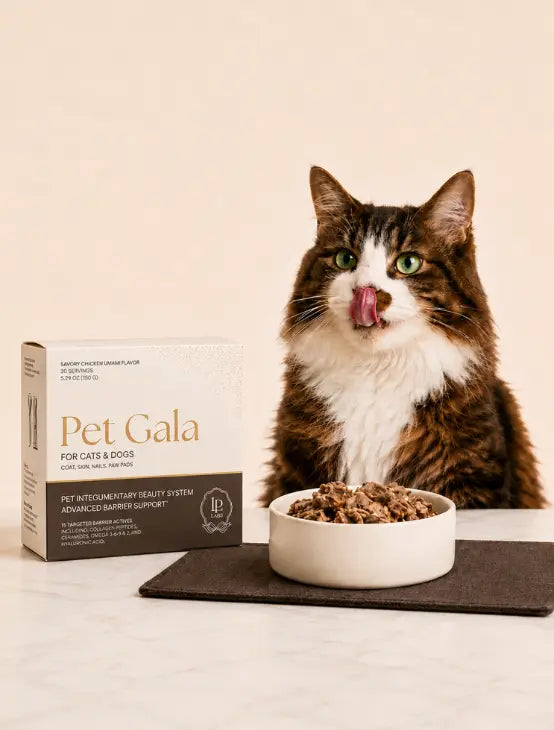Cat Calorie Calculator