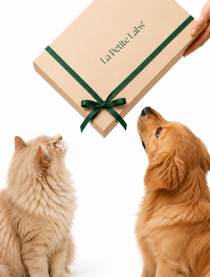 Nutrition vs Medication for Pets: Different Roles