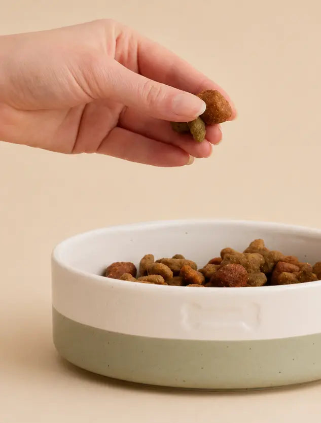Why Single-Nutrient Thinking Often Falls Short in Pet Health