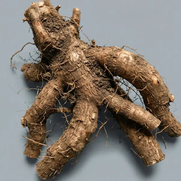 Resveratrol
