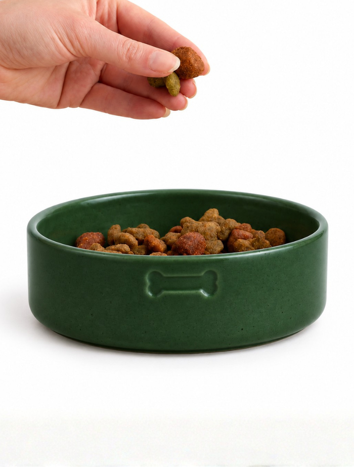 Why Single-Nutrient Supplements Fall Short for Pets