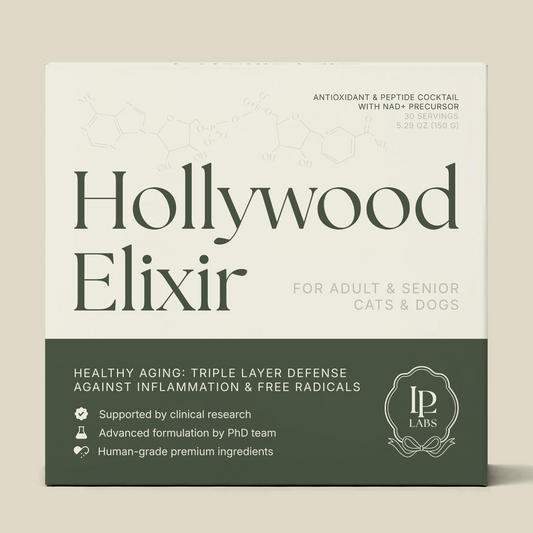 Hollywood Elixir: Healthy Aging Support for Cats & Dogs