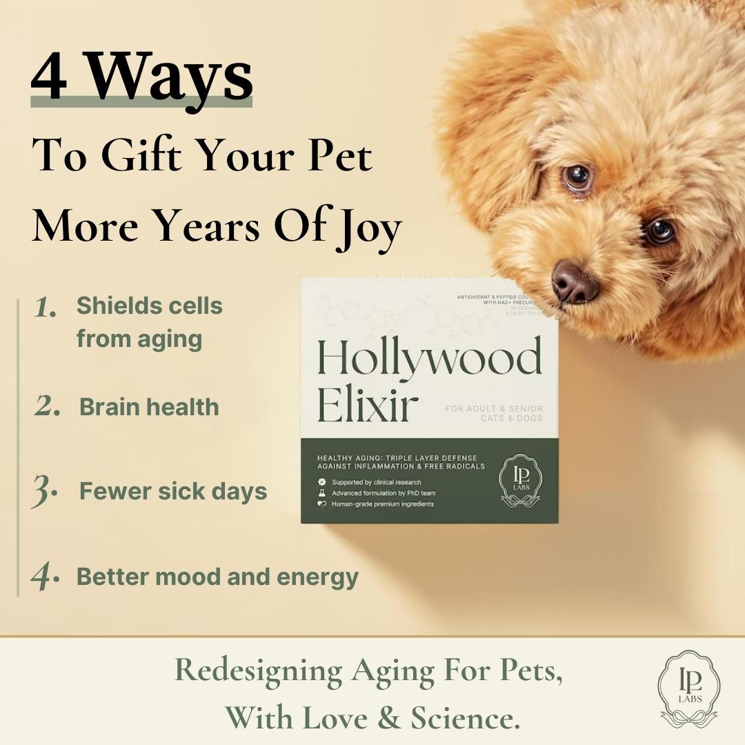 Hollywood Elixir™ — More Time, With Love