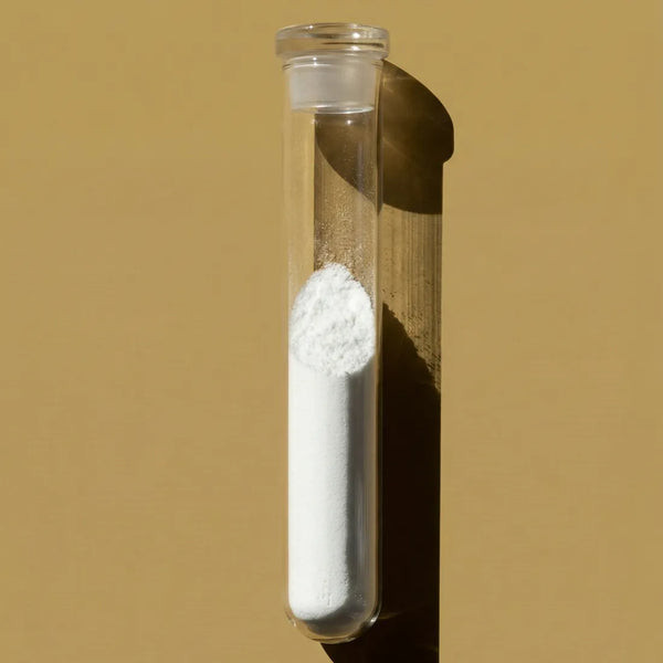 MSM ingredient image