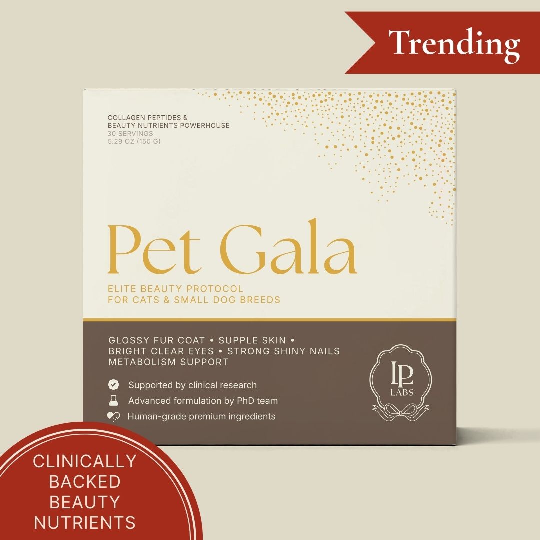 Front of pet gala packaging box with trending label and beauty nutrients marketing slogan