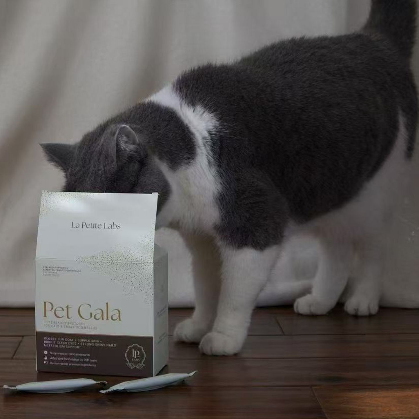 Pet Gala: Elite Beauty Protocol for Cats & Dogs