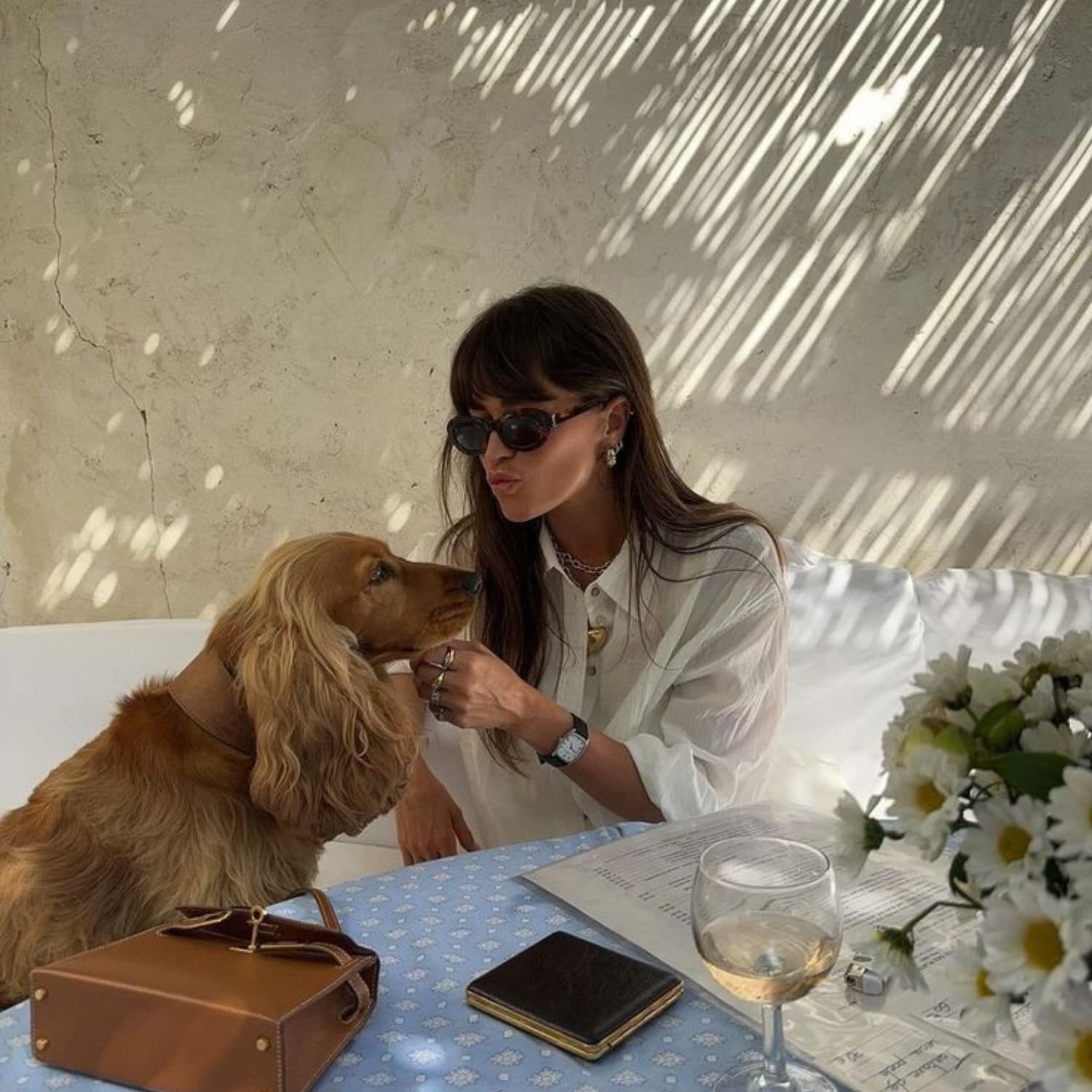 loved like family anti-aging supplements for pets are for beloved companions