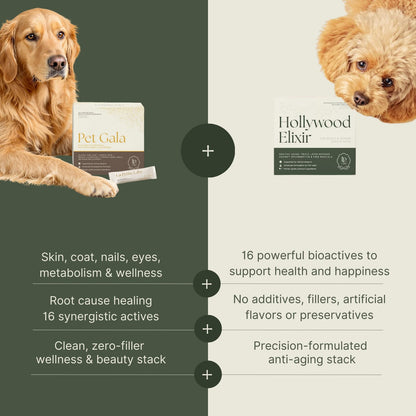 Pampered™: Skin & Soul, Complete Pet Wellness Set