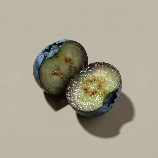 Blueberry Powder ingredient image