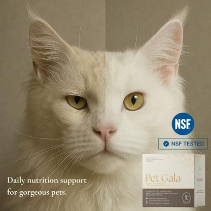 Pet Gala™ Beauty Supplement — Gorgeous Pets