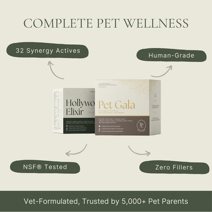 Pampered™: Skin & Soul, Complete Pet Wellness Set