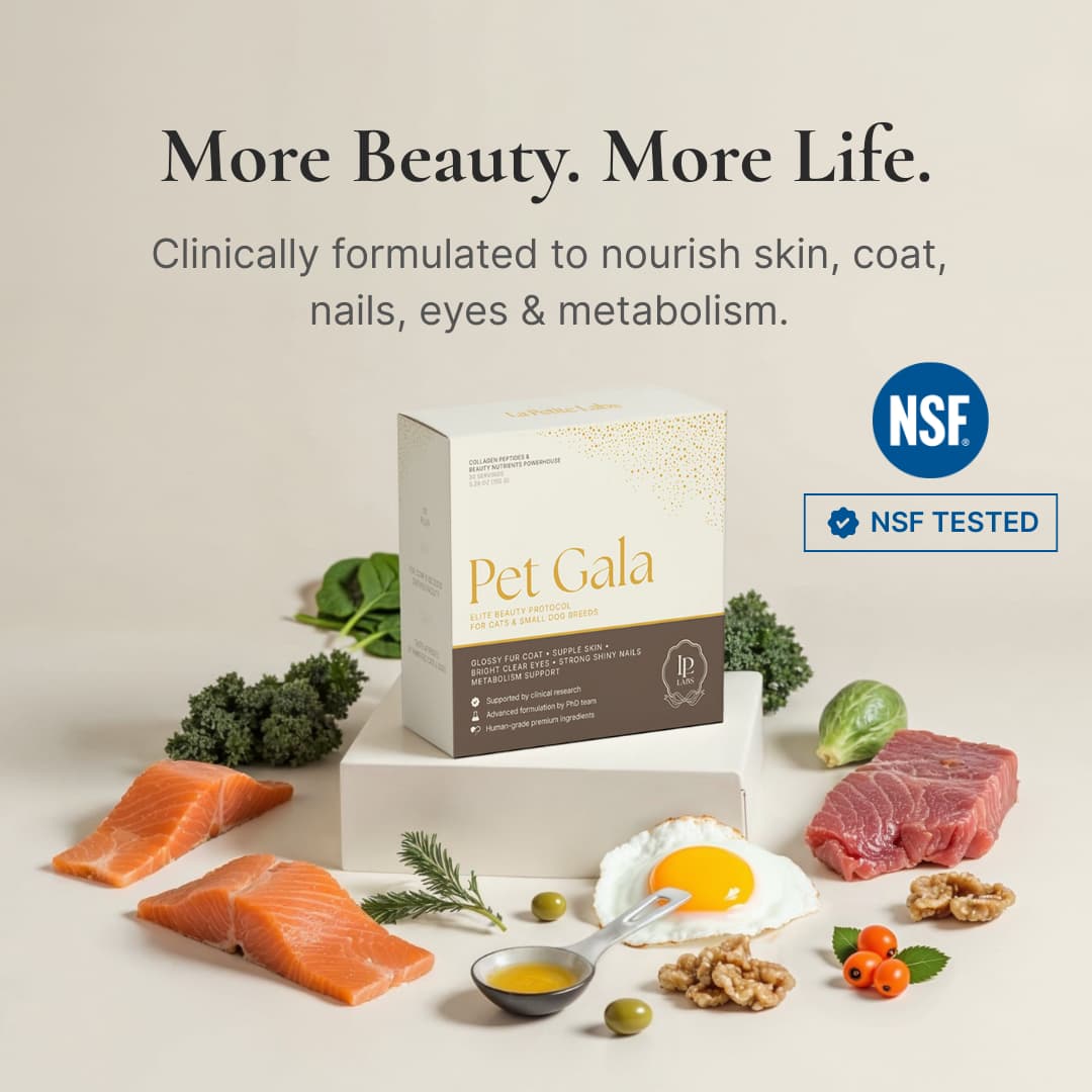 Pet Gala™ — Radiance for Cats & Dogs