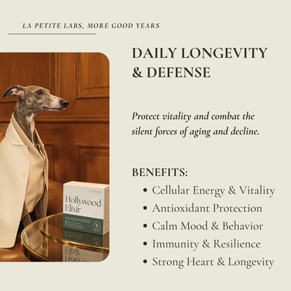 Hollywood Elixir™ Longevity Supplement  — A Lifetime of Love