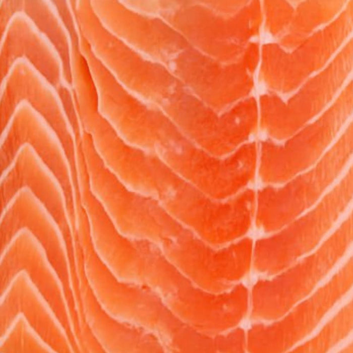 coq10 for dogs and cats