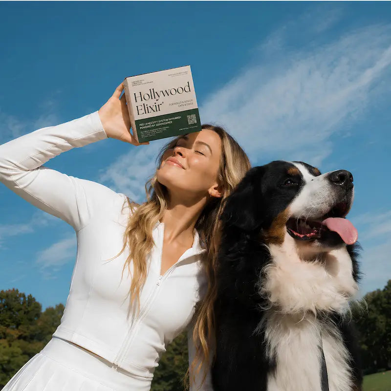 Dogster feature on La Petite Labs and canine lifespan stewardship