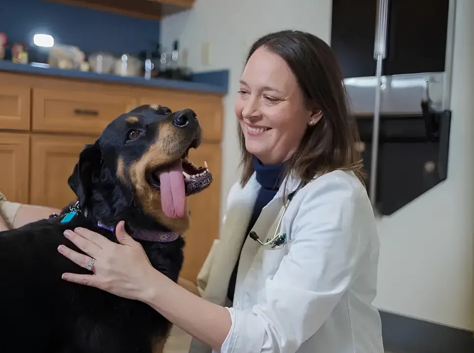 Dr. Sarah Wooten, DVM, with a patient