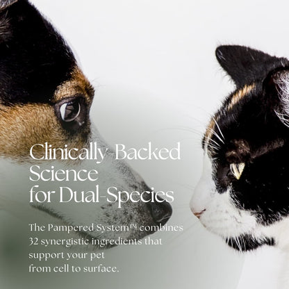 Pampered™: Skin & Soul, Complete Pet Wellness Set