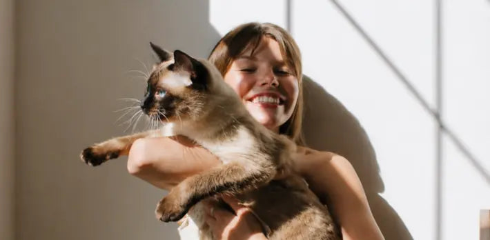 Glutathione for Cats: Why Levels Drop Under Stress and How to Rebuild Antioxidant Defense La Petite Labs Glutathione for Cats: Why Levels Drop Under Stress and How to Rebuild Antioxidant Defense La Petite Labs