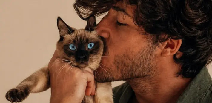 Glutathione for Cats: Why Levels Drop Under Stress and How to Rebuild Antioxidant Defense La Petite Labs Glutathione for Cats: Why Levels Drop Under Stress and How to Rebuild Antioxidant Defense La Petite Labs