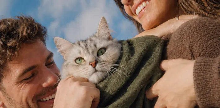 Glutathione for Cats: Why Levels Drop Under Stress and How to Rebuild Antioxidant Defense La Petite Labs Glutathione for Cats: Why Levels Drop Under Stress and How to Rebuild Antioxidant Defense La Petite Labs