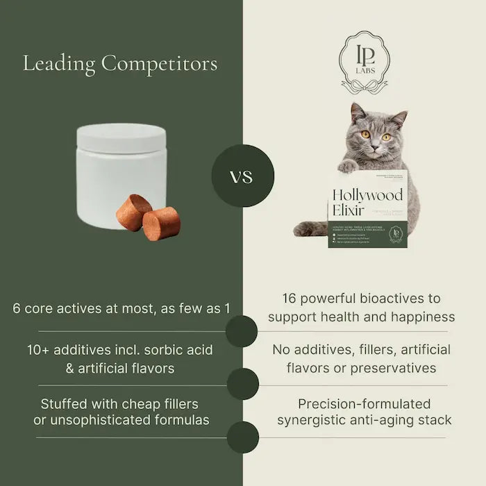 Side-by-side chart contrasting bioactives and fillers relative to best vitamin c supplement for cats.