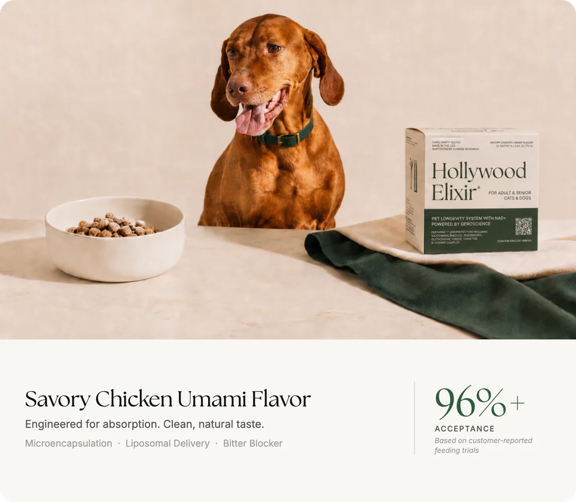 glutathione maroc Eric Favre Pure White + Glutathion Parapharmacie Maroc