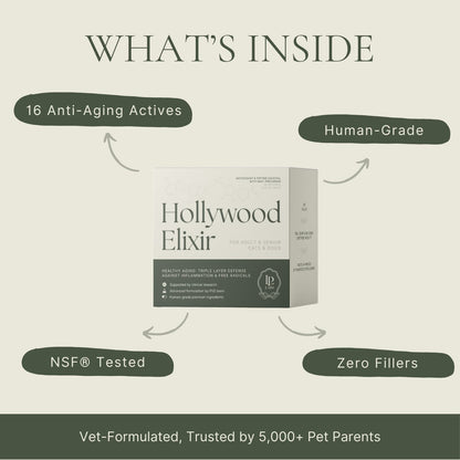 Hollywood Elixir™ Longevity Supplement  — A Lifetime of Love