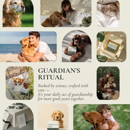 Hollywood Elixir™ Longevity Supplement  — A Lifetime of Love