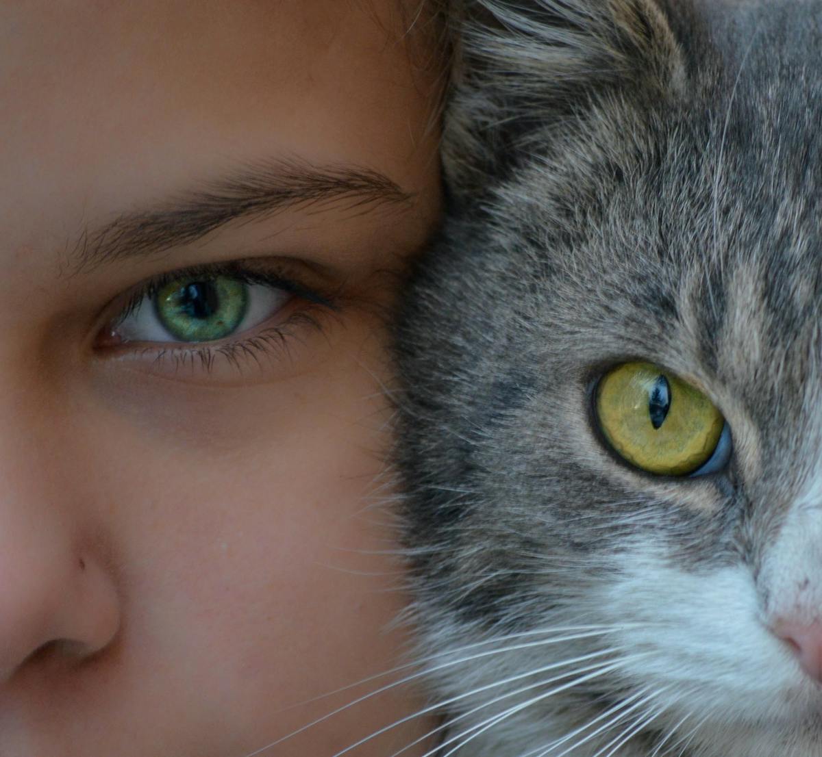 Intimate close-up of a girl and her cat in Cluj-Napoca, cap — What coordinated systems-based nutrition looks like in reality
