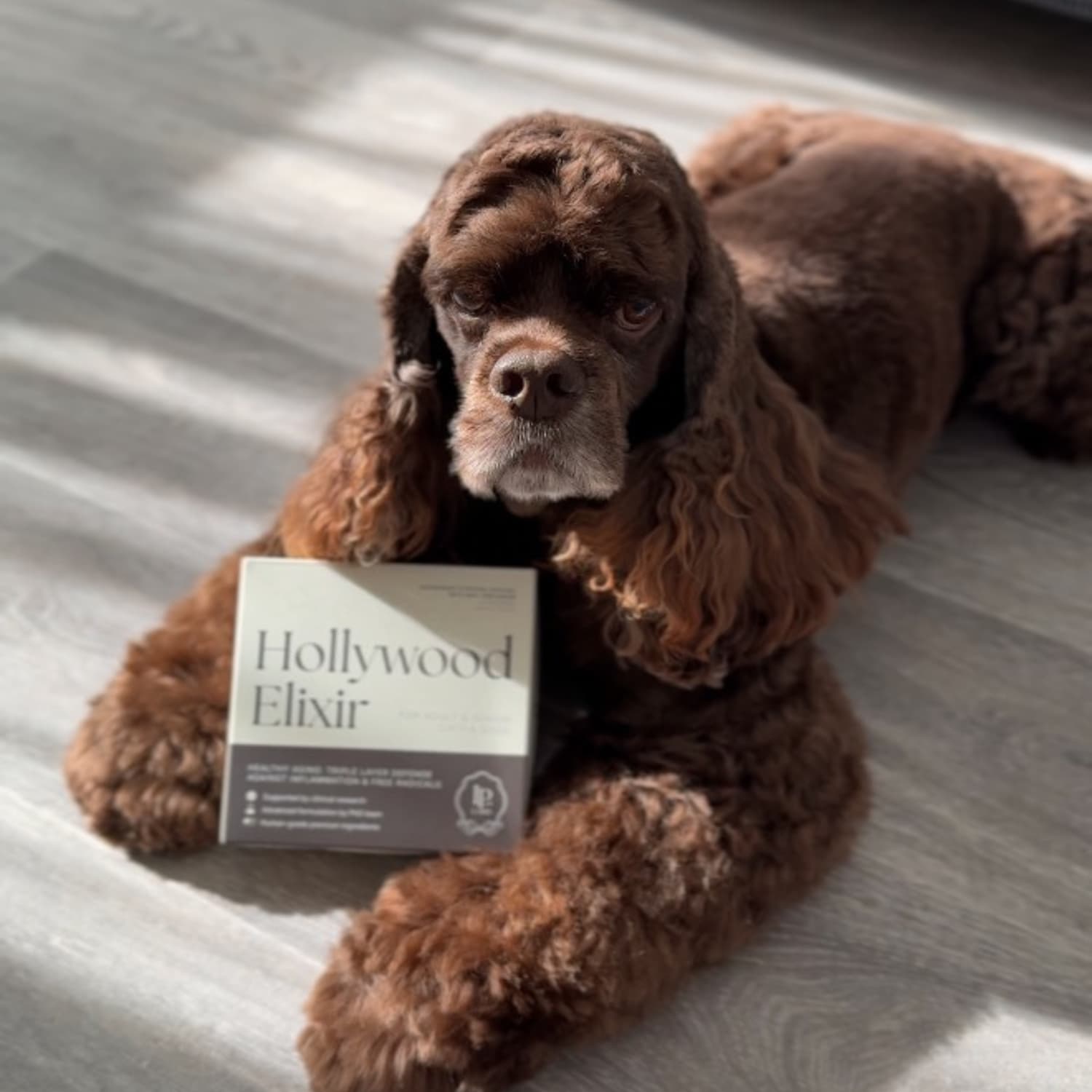 leap years dog supplement compared to hollywood elixir