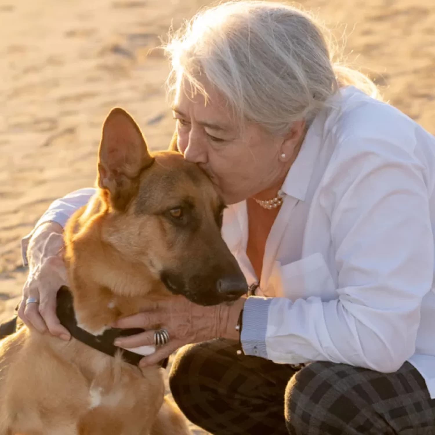 What is Longevity 15 for dogs