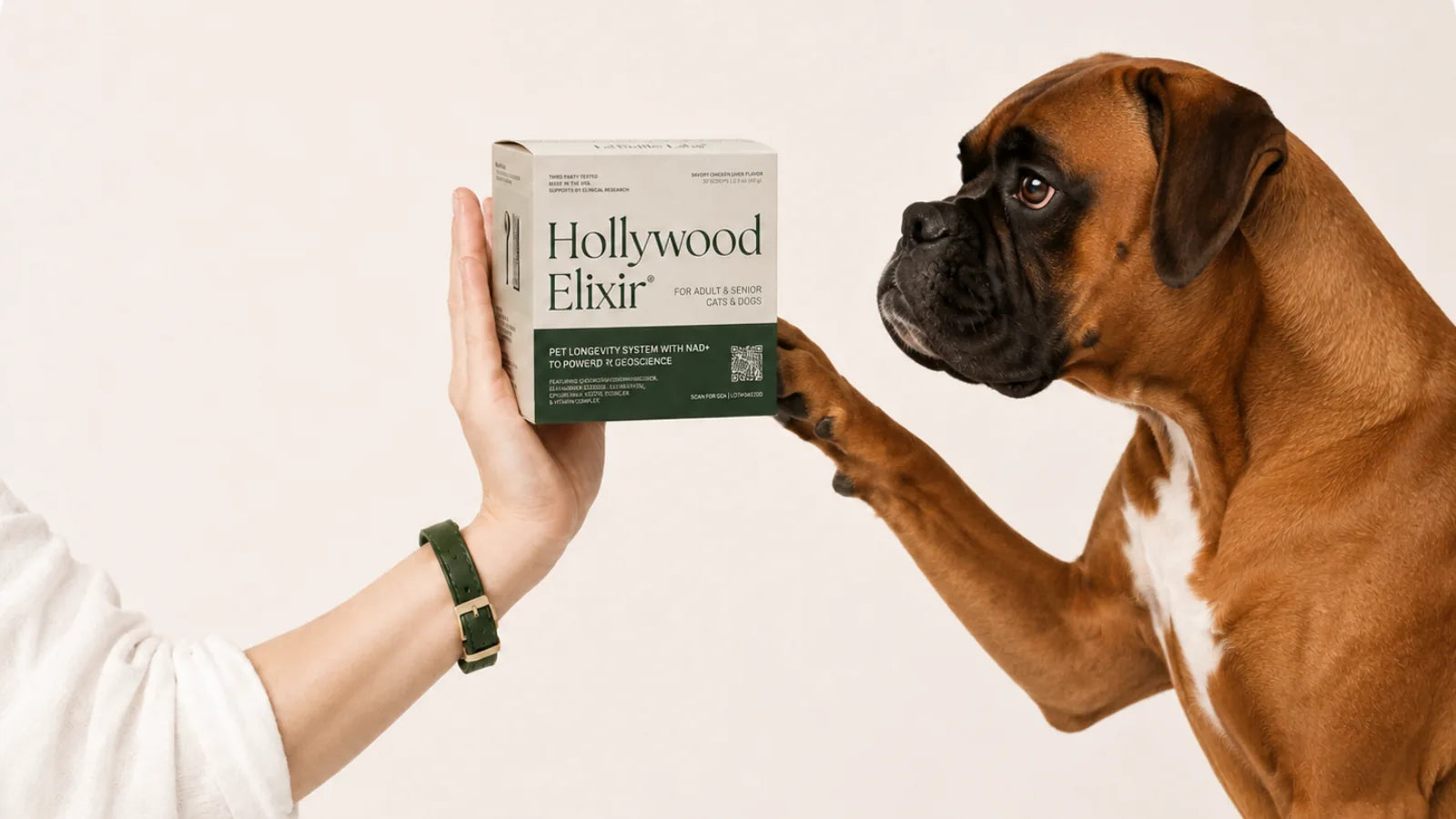 Boxer with the Hollywood Elixir longevity system by La Petite Labs