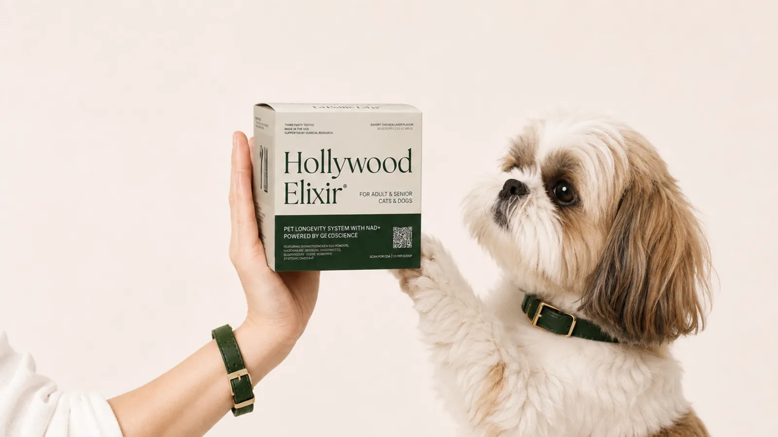 Shih Tzu with the Hollywood Elixir longevity system by La Petite Labs
