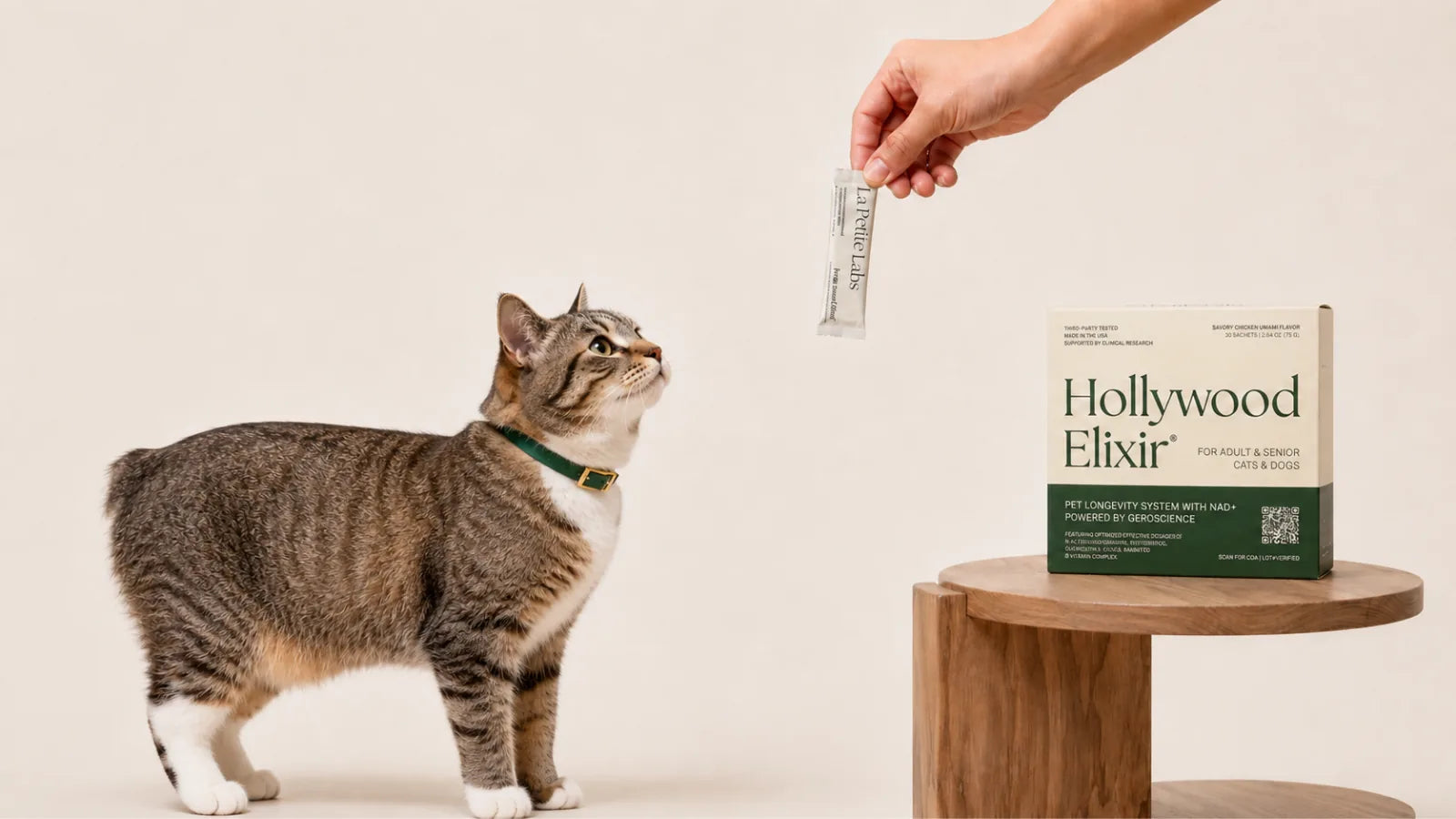 Manx cat with the Hollywood Elixir longevity system by La Petite Labs